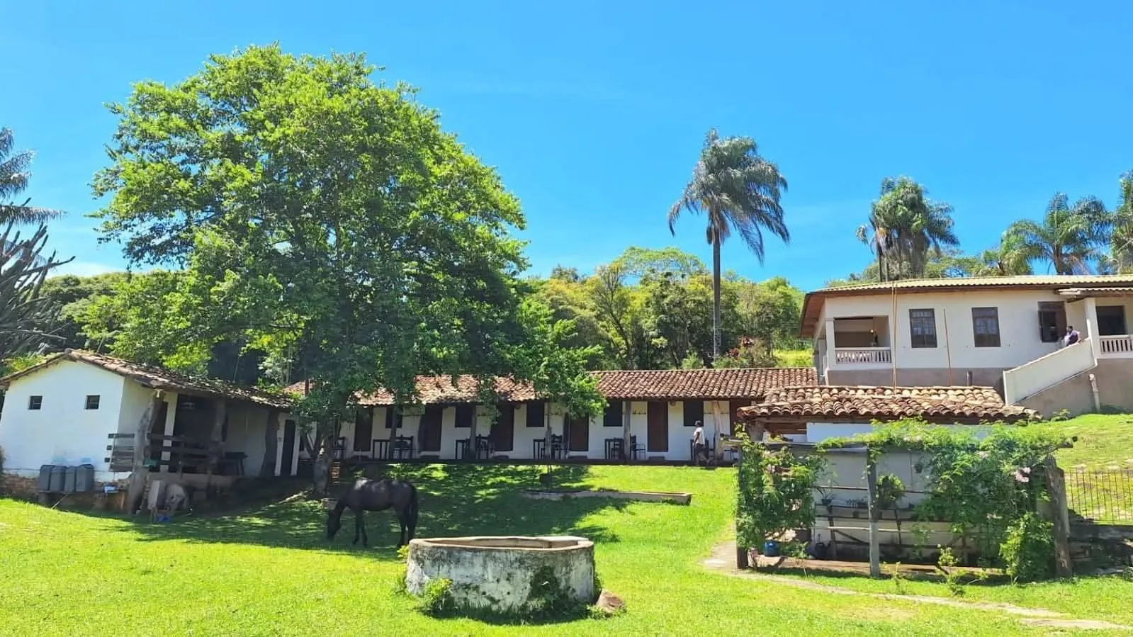 Casarão histórico e cavalo em frente à sede da Fazenda da Roseta, em Baependi