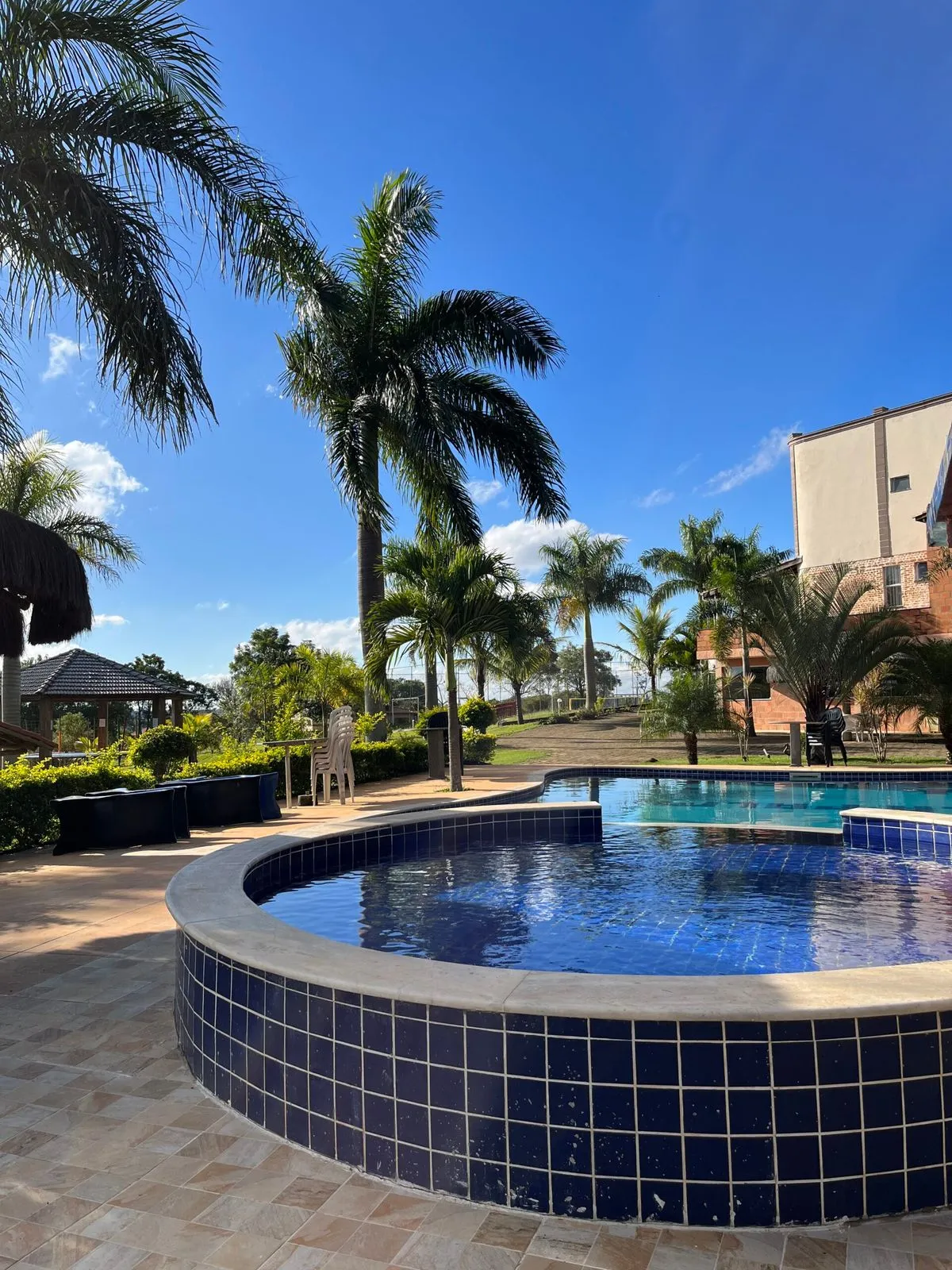 Piscina do La Palma cercada de palmeiras, com o prédio de apartamentos ao fundo