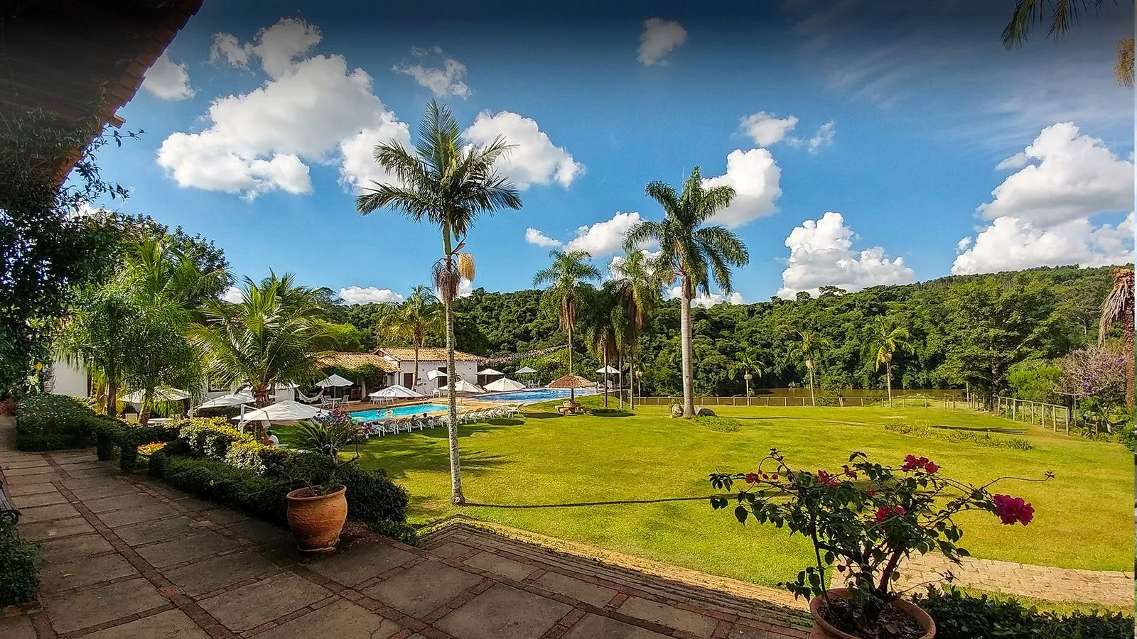 Piscina e jardim da fazenda com palmeiras, vista para o rio e a mata ao fundo