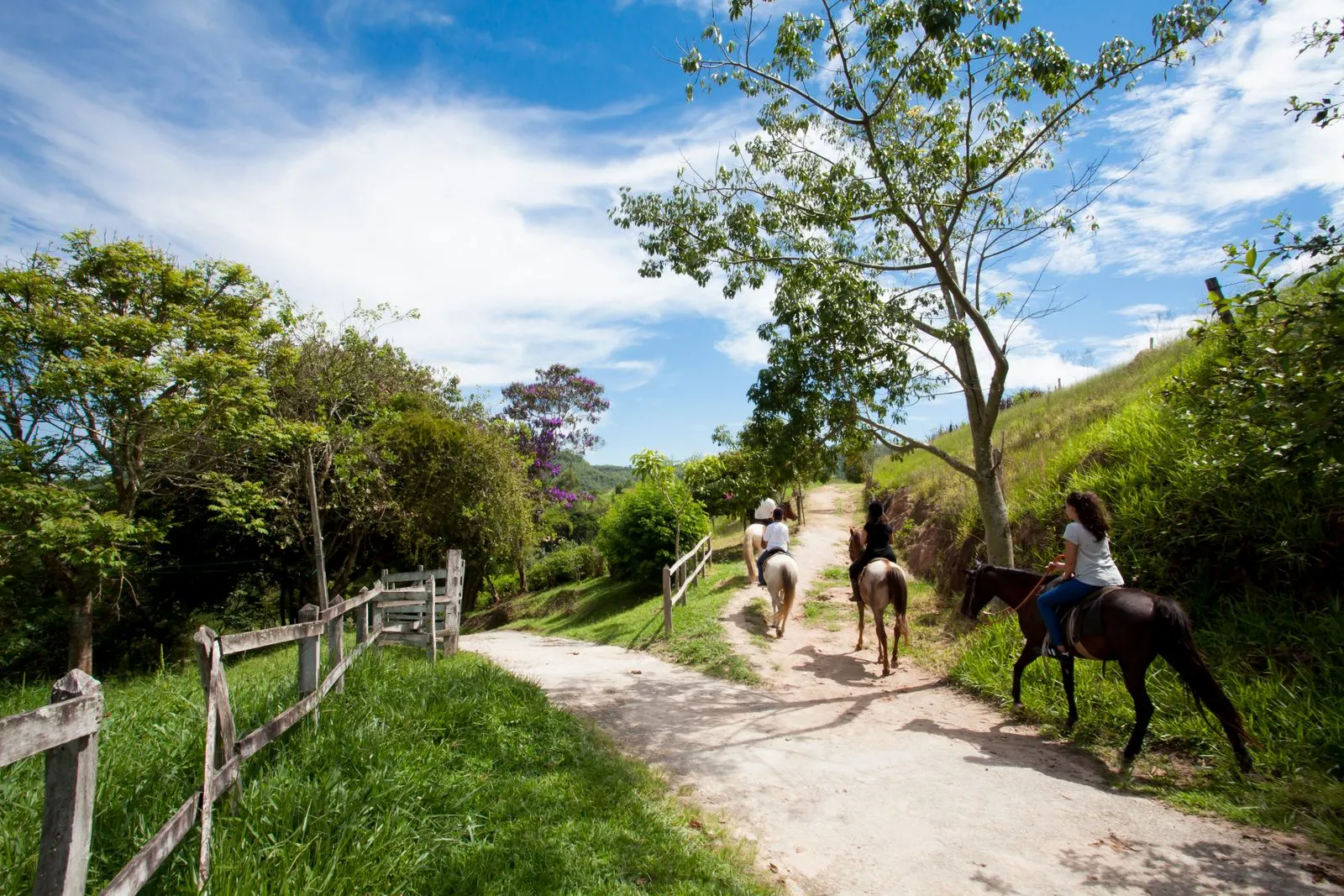 Grupo de hóspedes em cavalgada por estrada de terra entre morros e cercas de madeira