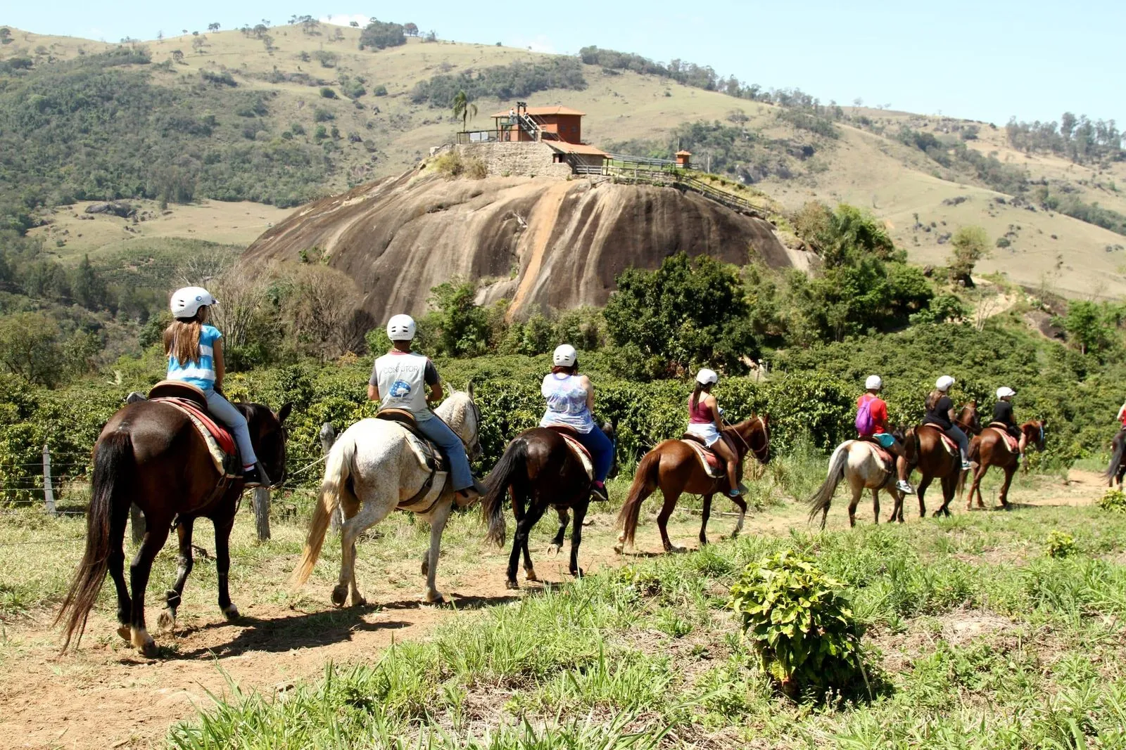 Grupo de hóspedes com capacete em cavalgada entre cafezais, com pedra e mirante ao fundo