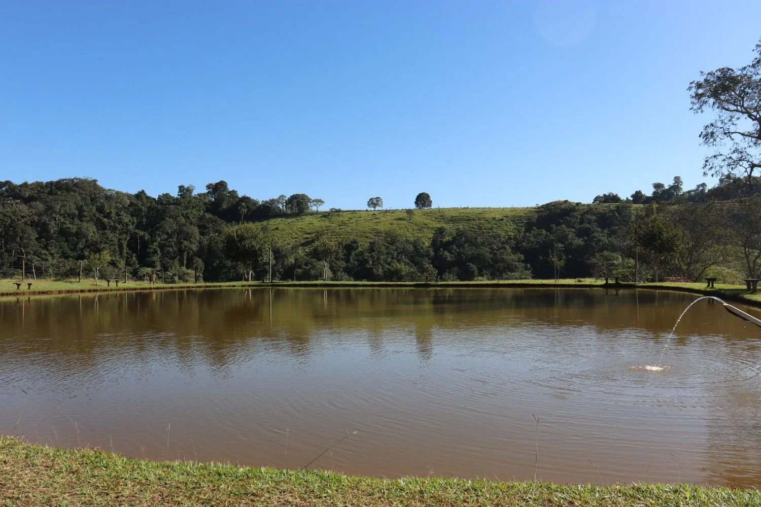 Lago de pesca do Hotel Fazenda Vale da Cachoeira em Serra Negra
