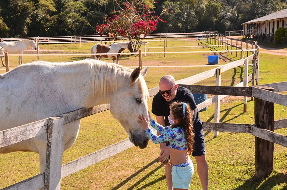 Pai e filha acariciando cavalo branco no piquete da hípica