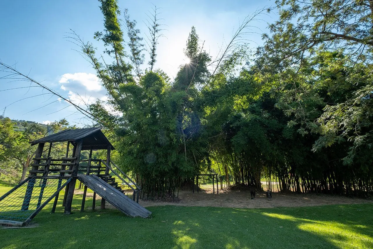 Playground de madeira com escorregador entre bambuzais no jardim da fazenda